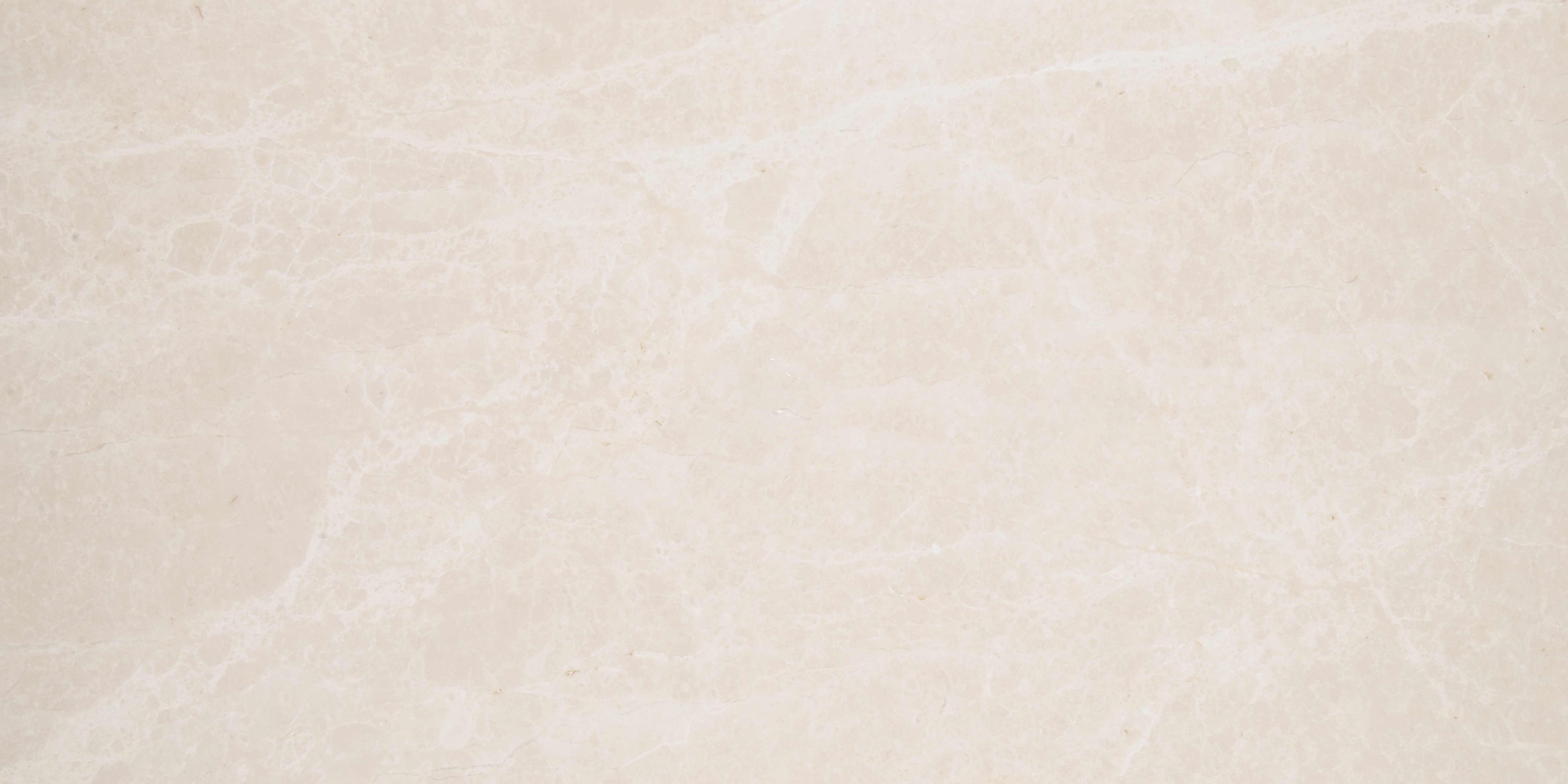 SPIDER BEIGE