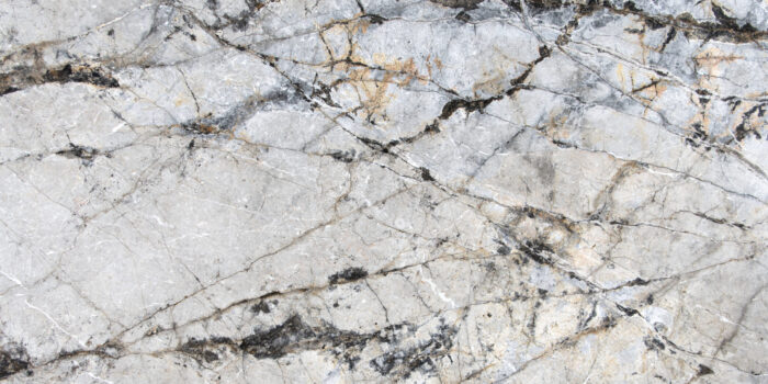 SILVER ROOT